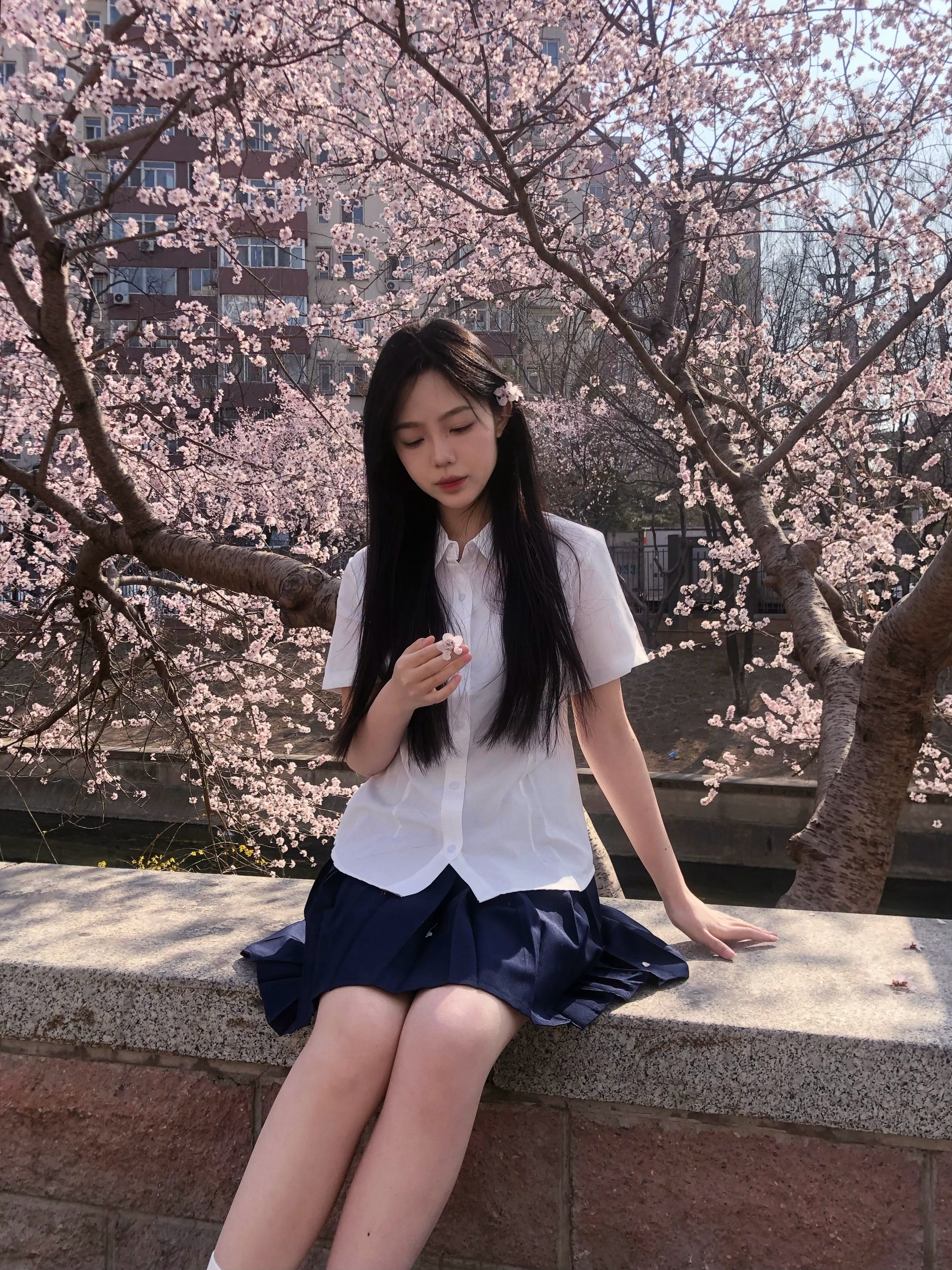 福田07头像